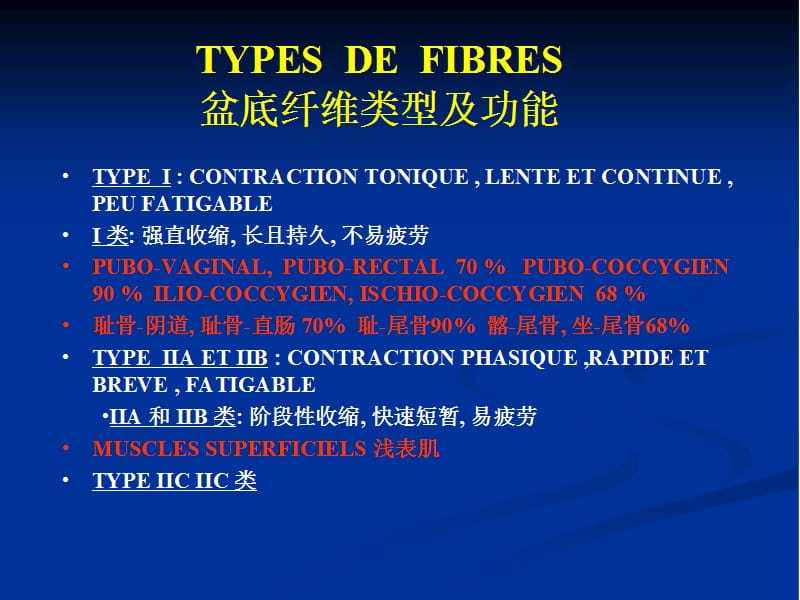 盆底纤维类型及功能.ppt_第1页