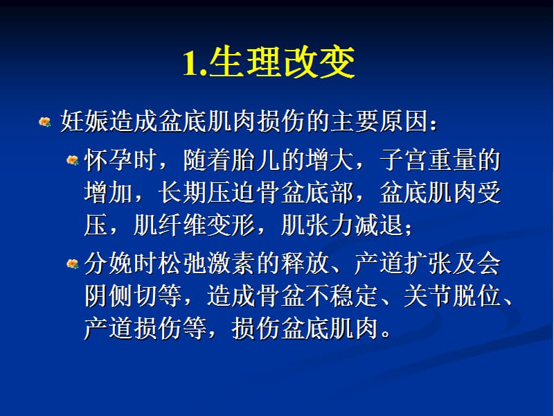 盆底纤维类型及功能.ppt_第2页