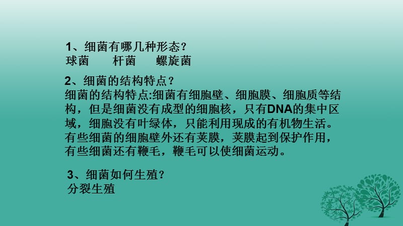 八年级生物上册第五单元第四章第三节真菌课件新版新人教版.ppt_第3页