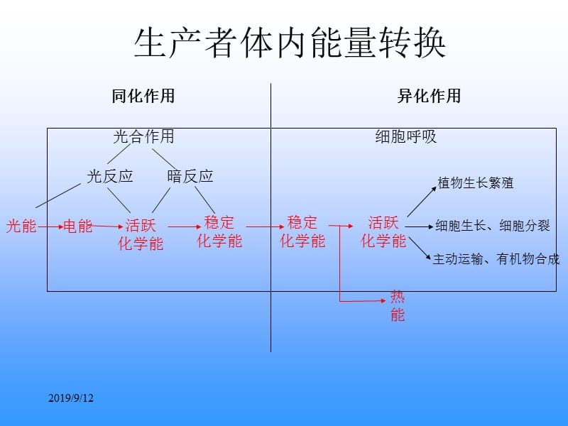 能量与生命活动.ppt_第3页