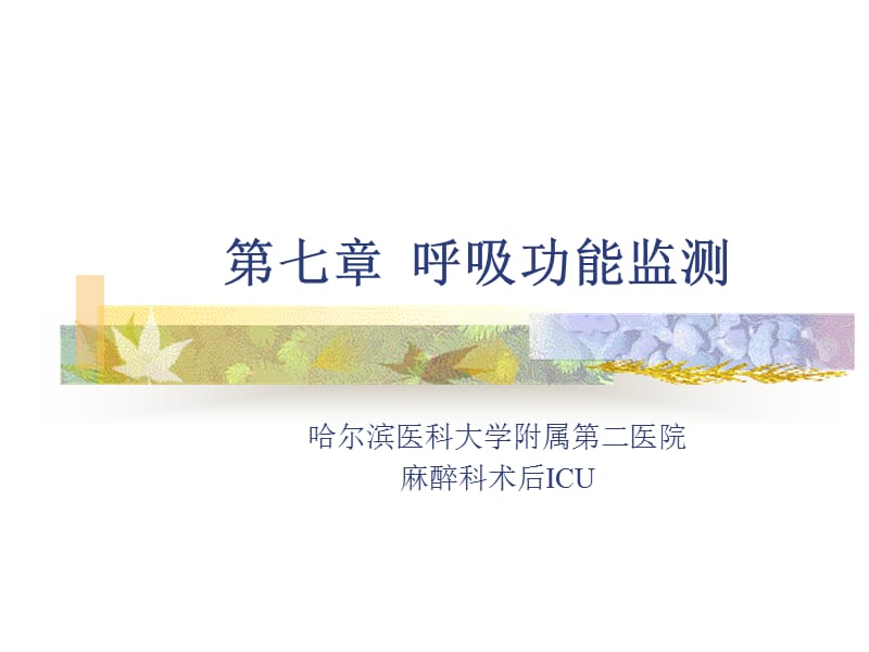 呼吸功能监测PPT课件.ppt_第1页