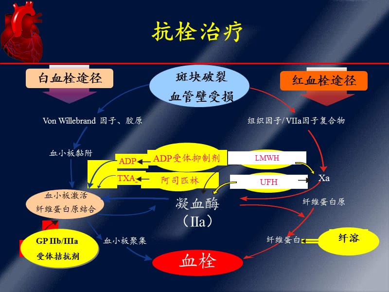 氯吡格雷治疗冠心病的几个问题与对策_魏盟.ppt_第2页