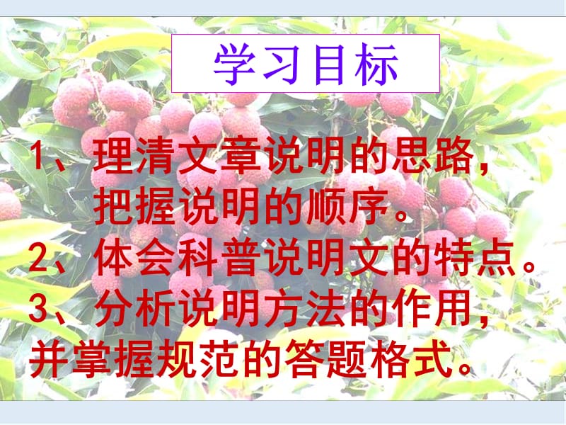 【K12配套】最新苏教版语文必修五第1专题《南州六月荔枝丹》ppt课件.ppt_第2页