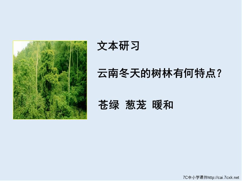 【K12配套】最新苏教版语文选修《云南冬天的树林》ppt课件2.ppt_第3页