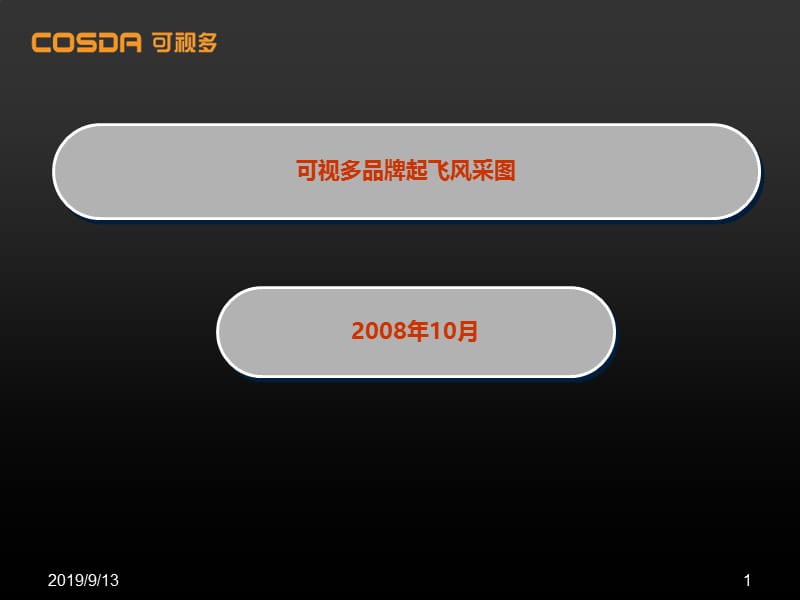 2008年可视多品牌起飞风采图及推广汇总.ppt_第1页