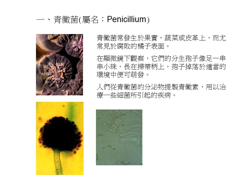 科普知识报导专班成果报告B组杨慧君杨秀蓉.ppt_第3页