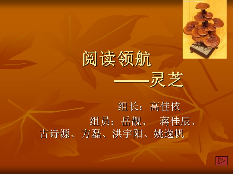 阅读领航灵芝.ppt_第1页