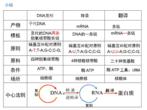 有丝与减数ppt课件.ppt