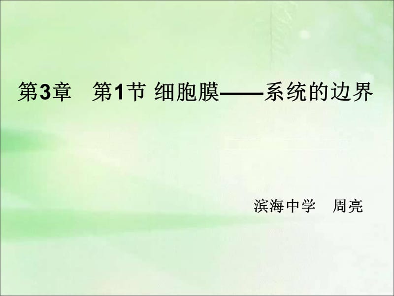 细胞膜.ppt_第2页