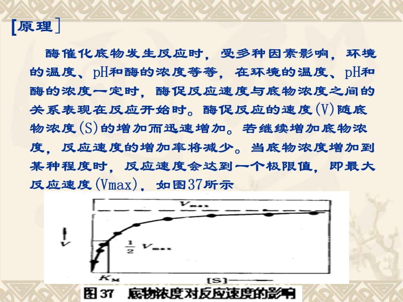 碱性磷酸酶米氏常数的测定.ppt_第3页