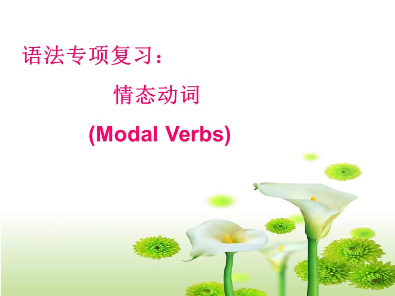 语法专项复习情态动词ModalVerbs课件.ppt_第1页