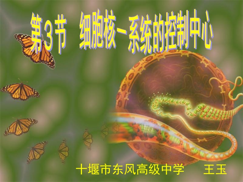 十堰市东风高级中学——王玉——细胞核.ppt_第1页