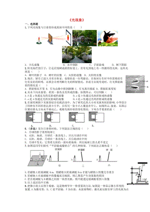 四川省成都市2017年中考物理专题复习光现象训练教科版201707192112.doc