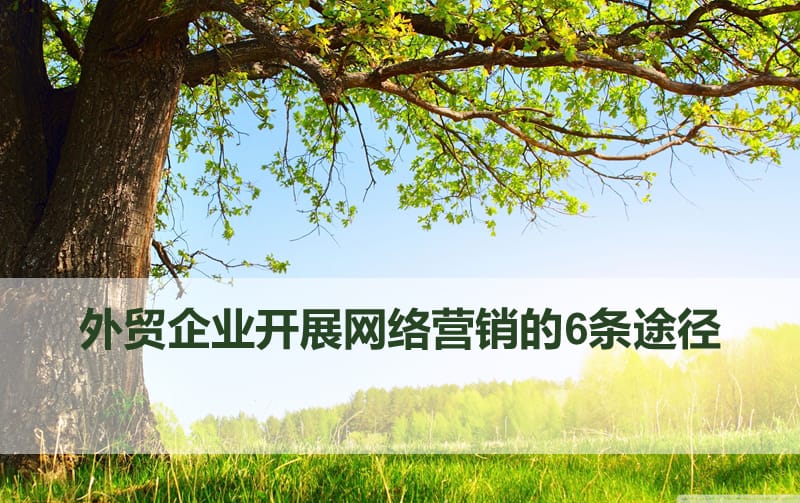 外贸企业开展网络营销的条途径.ppt_第1页