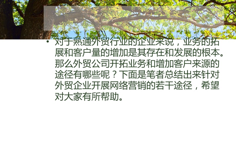 外贸企业开展网络营销的条途径.ppt_第2页