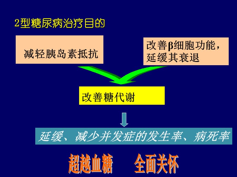 磺脲类药物的临床应用2010年.ppt_第2页