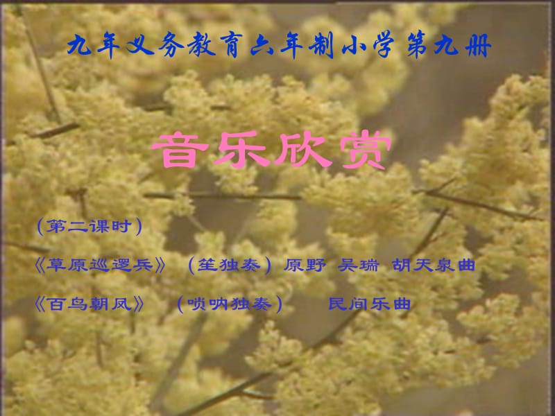 音乐欣赏.ppt_第1页