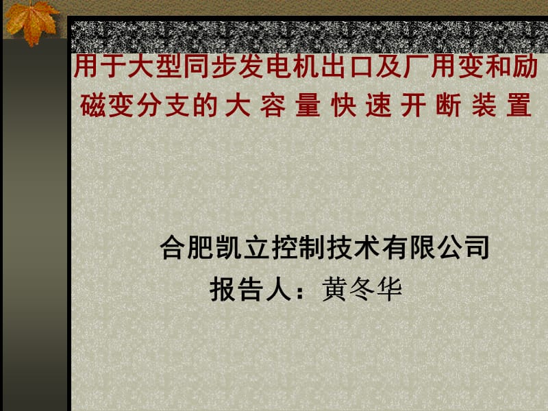 用于大型同步发电机出口及厂用变和励磁变分支的大容量快速.ppt_第1页