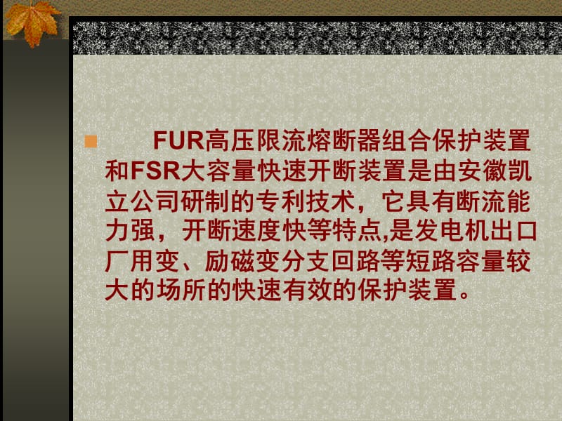 用于大型同步发电机出口及厂用变和励磁变分支的大容量快速.ppt_第2页