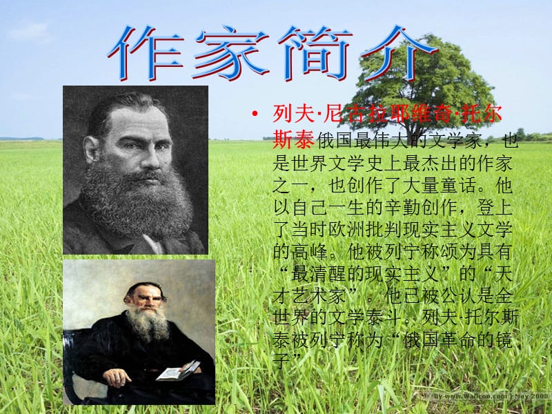 西方文学名着欣赏.ppt_第2页