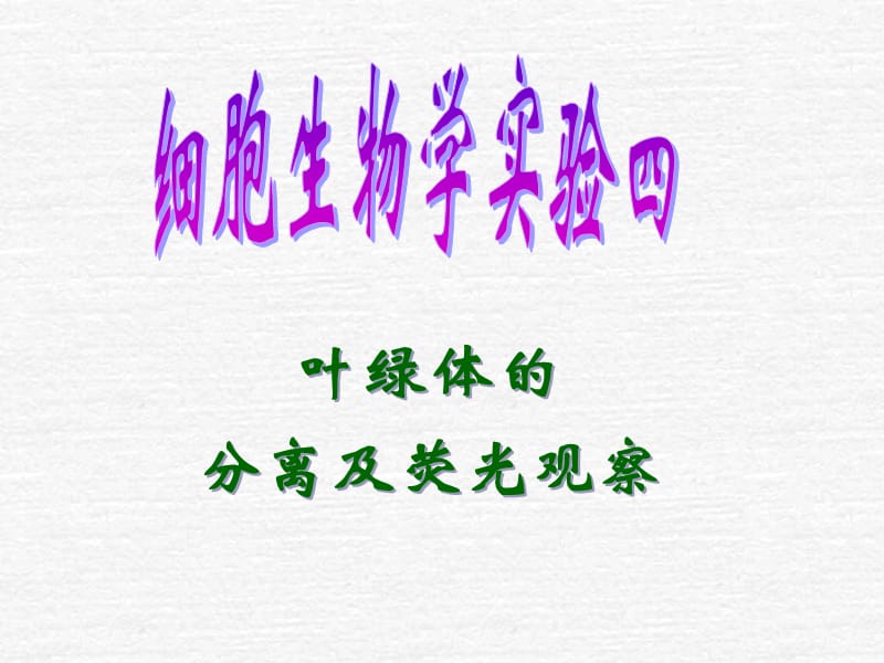 叶绿体的分离及荧光观察.ppt_第1页