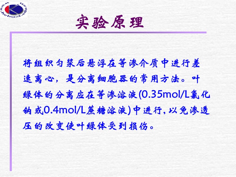 叶绿体的分离及荧光观察.ppt_第3页