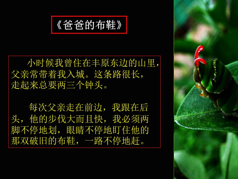 一起来听个故事.ppt_第2页