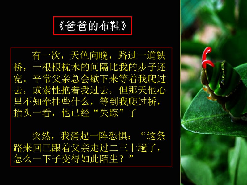 一起来听个故事.ppt_第3页