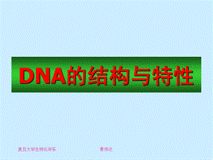 A1_核酸化学_DNA2004.ppt