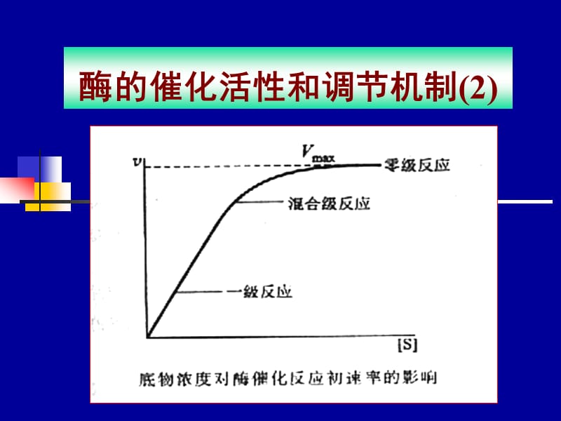 C-酶的催化活性和调节机制-2.ppt_第1页