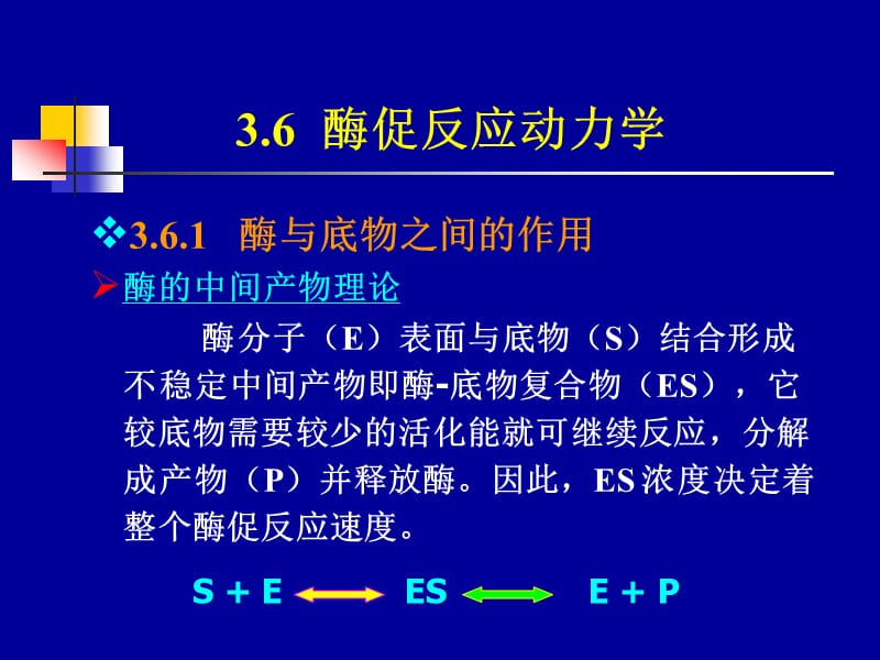 C-酶的催化活性和调节机制-2.ppt_第2页