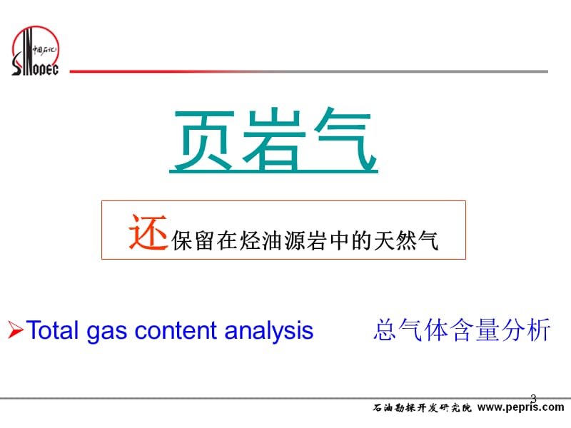 页岩含气量测试技术.ppt_第3页