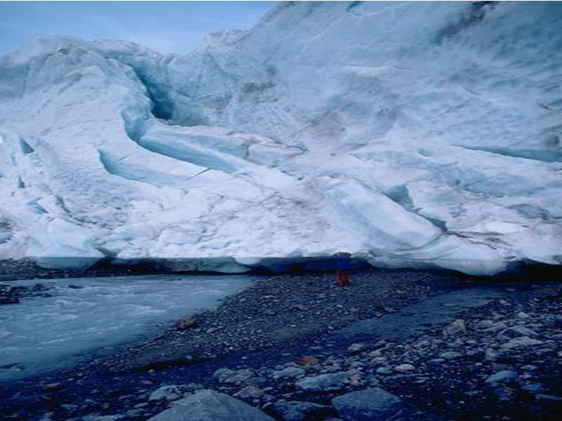 雪地里的小画家11.ppt_第3页