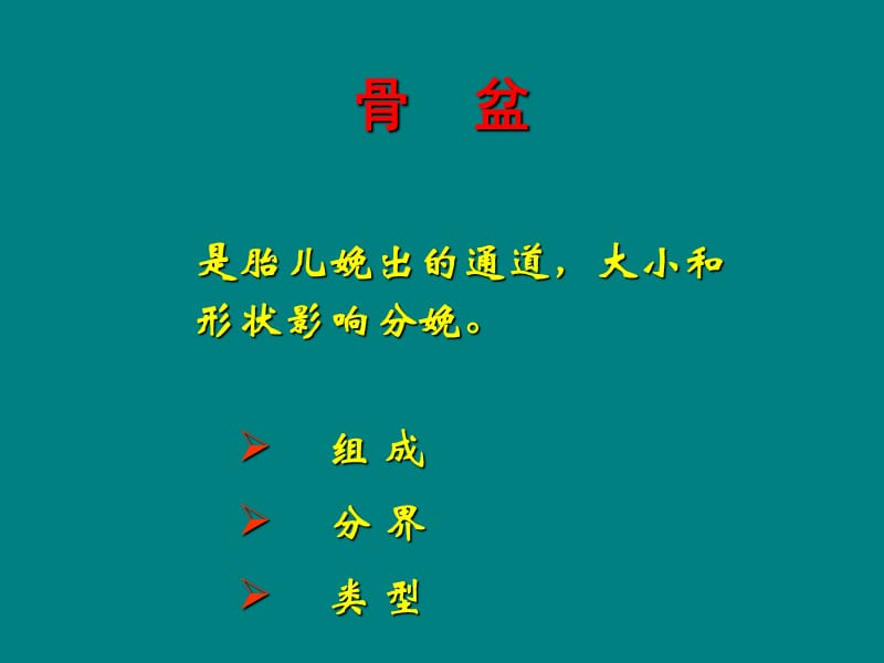 女性生殖系统解剖.ppt_第3页