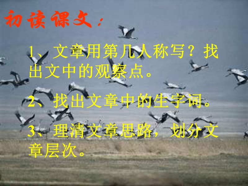 语教版七下　鹤群翔空.ppt_第2页