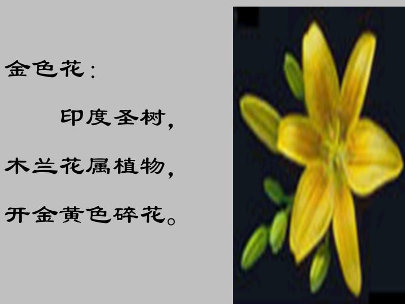 有一种爱无论你身处何方都能感受她的温暖有一种爱无论你.ppt_第3页