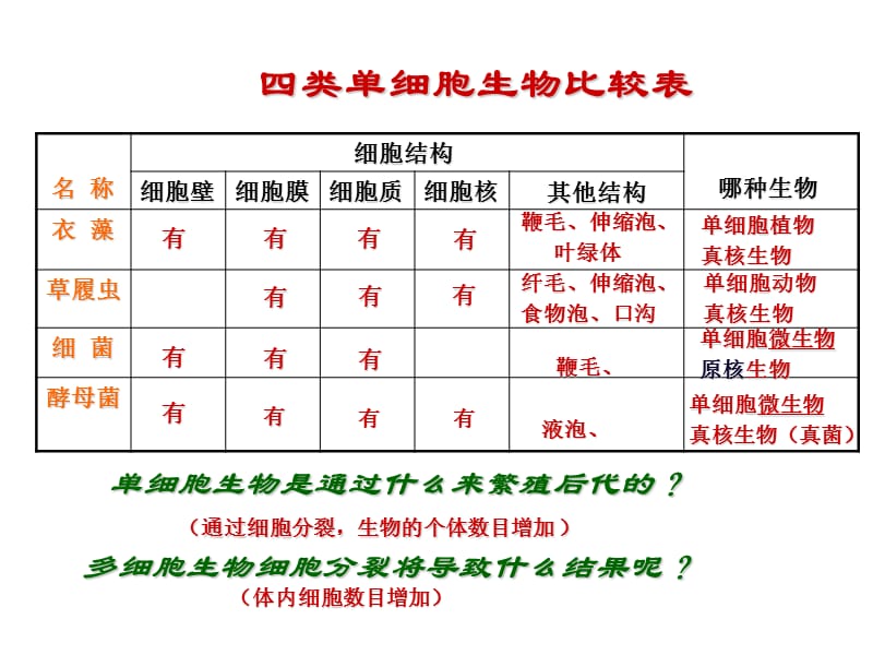 七年级科学显微镜的微生物.ppt_第2页