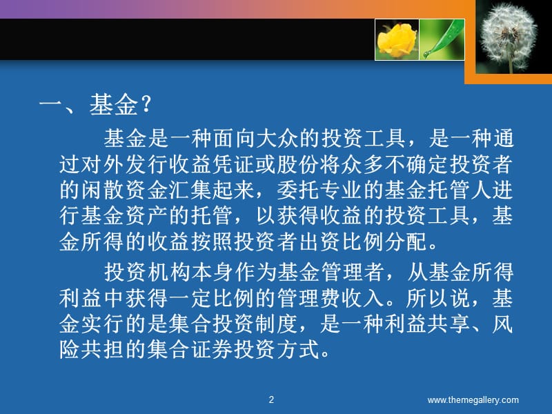 融资学第五讲基金ppt课件.ppt_第2页