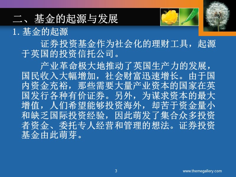 融资学第五讲基金ppt课件.ppt_第3页