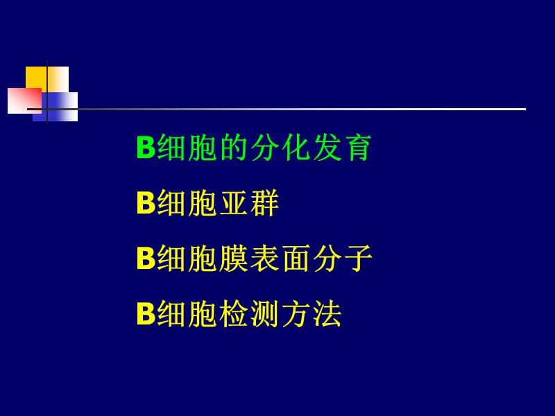 B细胞发育.ppt_第3页