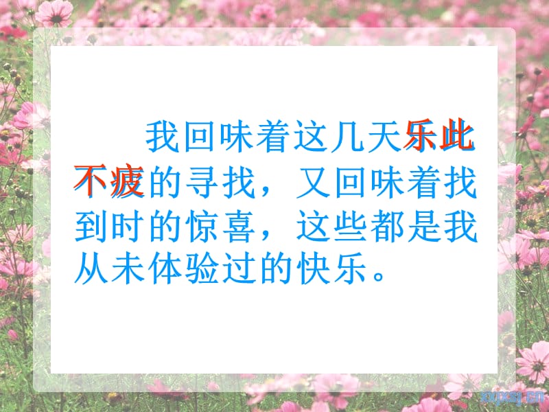 寻找幸运花瓣.ppt_第2页