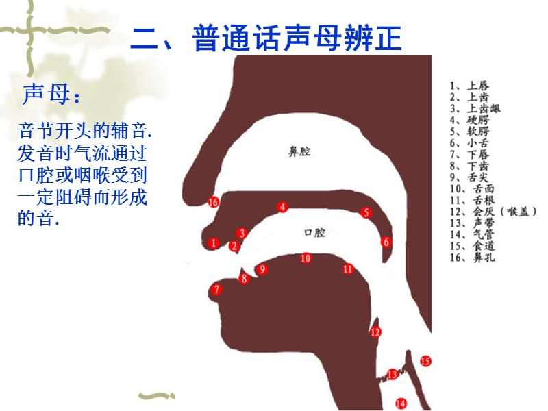 有声语言.ppt_第3页