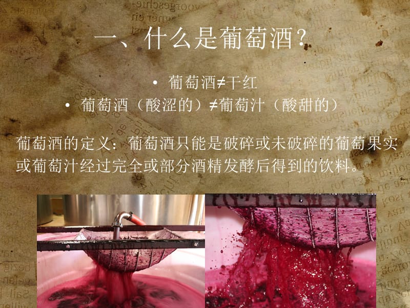 塔斯曼贸易中国贸易葡萄酒兴趣班初识葡萄酒.ppt_第3页