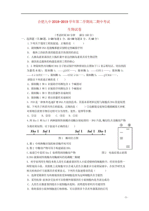 安徽省合肥市第九中学2018_2019学年高二生物下学期期中试题20190513033.wps