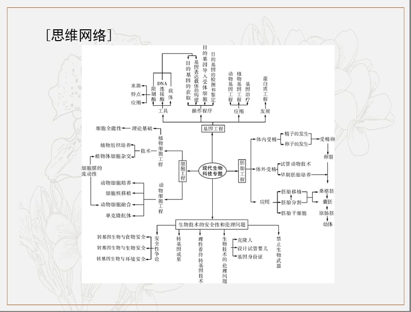 2020年高考生物一轮复习课件：选修3 专题1、4 基因工程、生物技术的安全性和伦理问题 .ppt_第2页