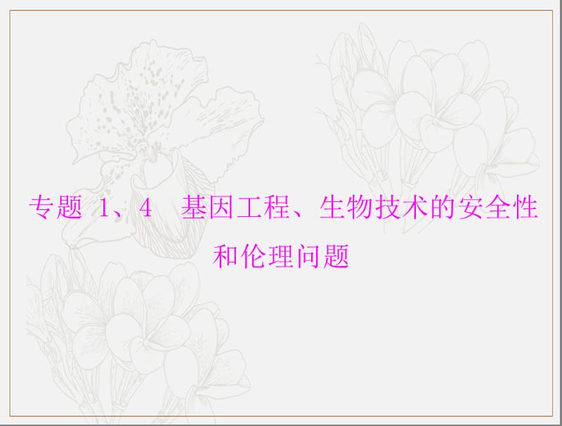 2020年高考生物一轮复习课件：选修3 专题1、4 基因工程、生物技术的安全性和伦理问题 .ppt_第3页