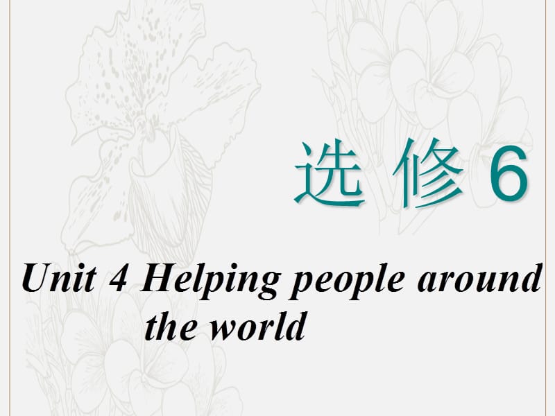 2020高考英语新创新一轮复习Unit4Helpingpeoplearoundtheworld课件牛津译林版选修.ppt_第1页