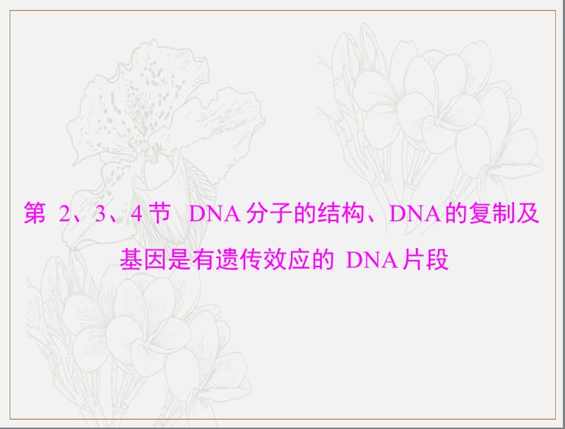 2020年高考生物一轮复习课件：必修2 第3章 第2、3、4节 DNA分子的结构、DNA的复制及基因是有遗传效应的DNA片段 .ppt_第1页