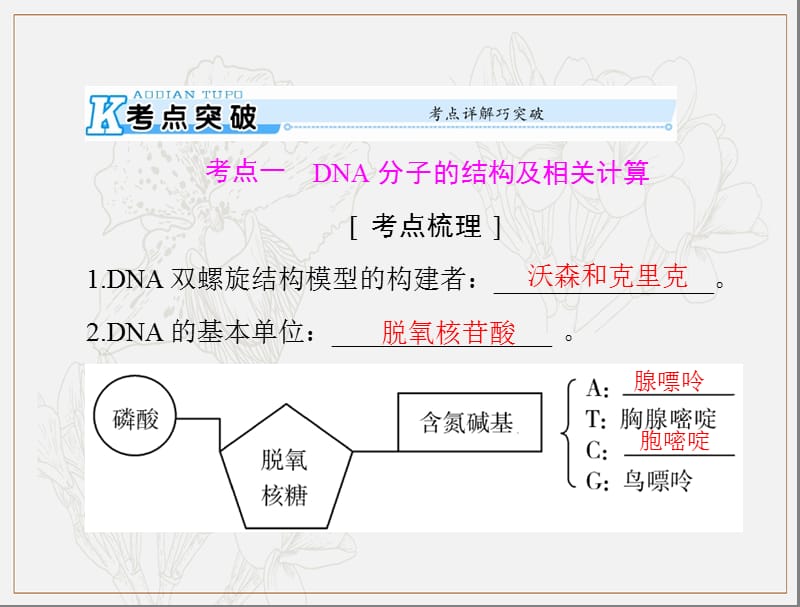 2020年高考生物一轮复习课件：必修2 第3章 第2、3、4节 DNA分子的结构、DNA的复制及基因是有遗传效应的DNA片段 .ppt_第2页