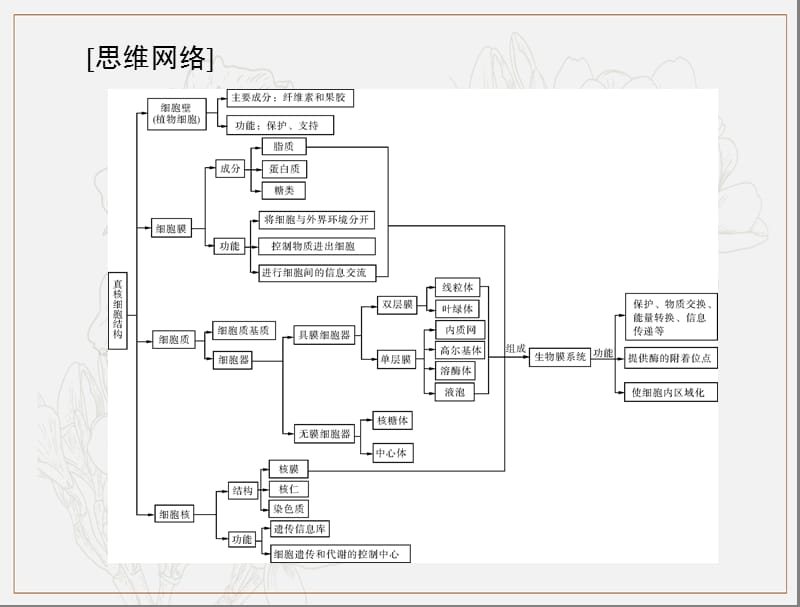 2020年高考生物一轮复习课件：必修1 第3章 第1、3节 细胞膜——系统的边界、细胞核——系统的控制中心 .ppt_第3页